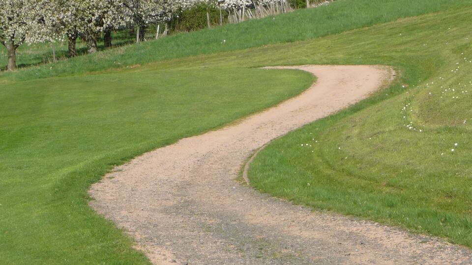 A winding gravel path through a grassy field with blooming trees.