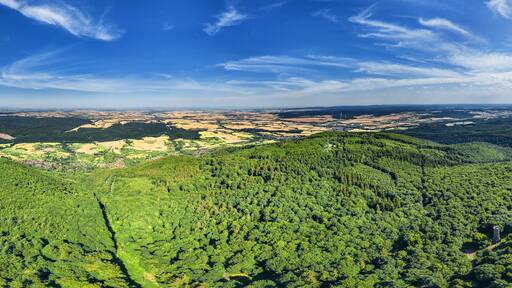 Vista panorámica de un paisaje boscoso con cielo despejado y aerogeneradores a lo lejos.