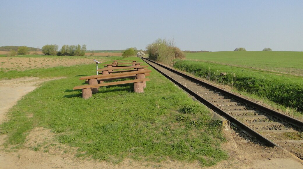 Railway line Wismar-Karow in Zidderich, district Parchim, Mecklenburg-Vorpommern, Germany