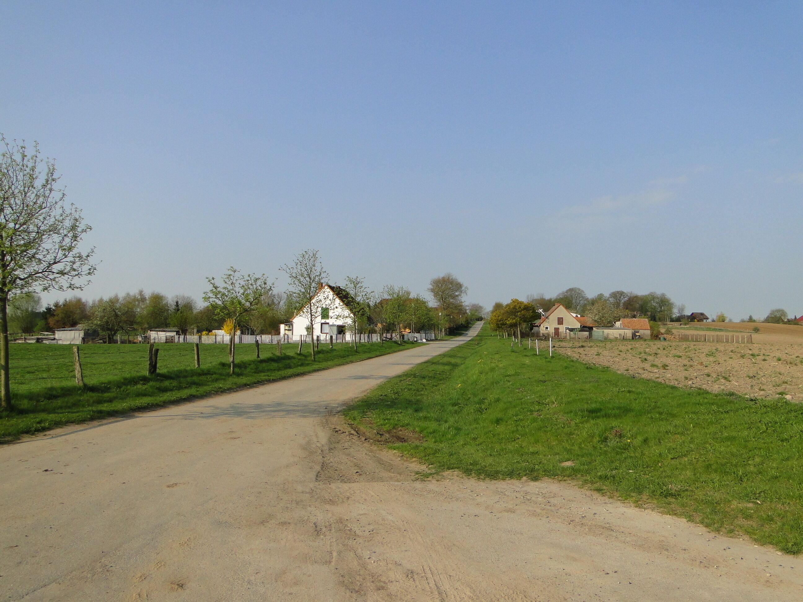View in Zidderich, district Parchim, Mecklenburg-Vorpommern, Germany