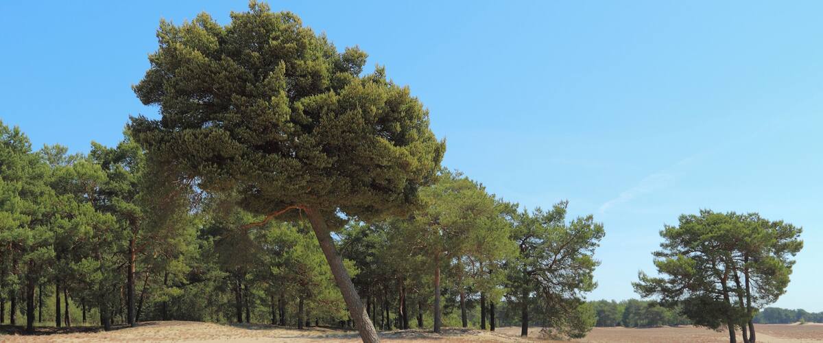 This is a picture of the protected area listed at WDPA under the ID