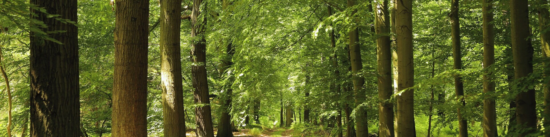 This is a picture of the protected area listed at WDPA under the ID