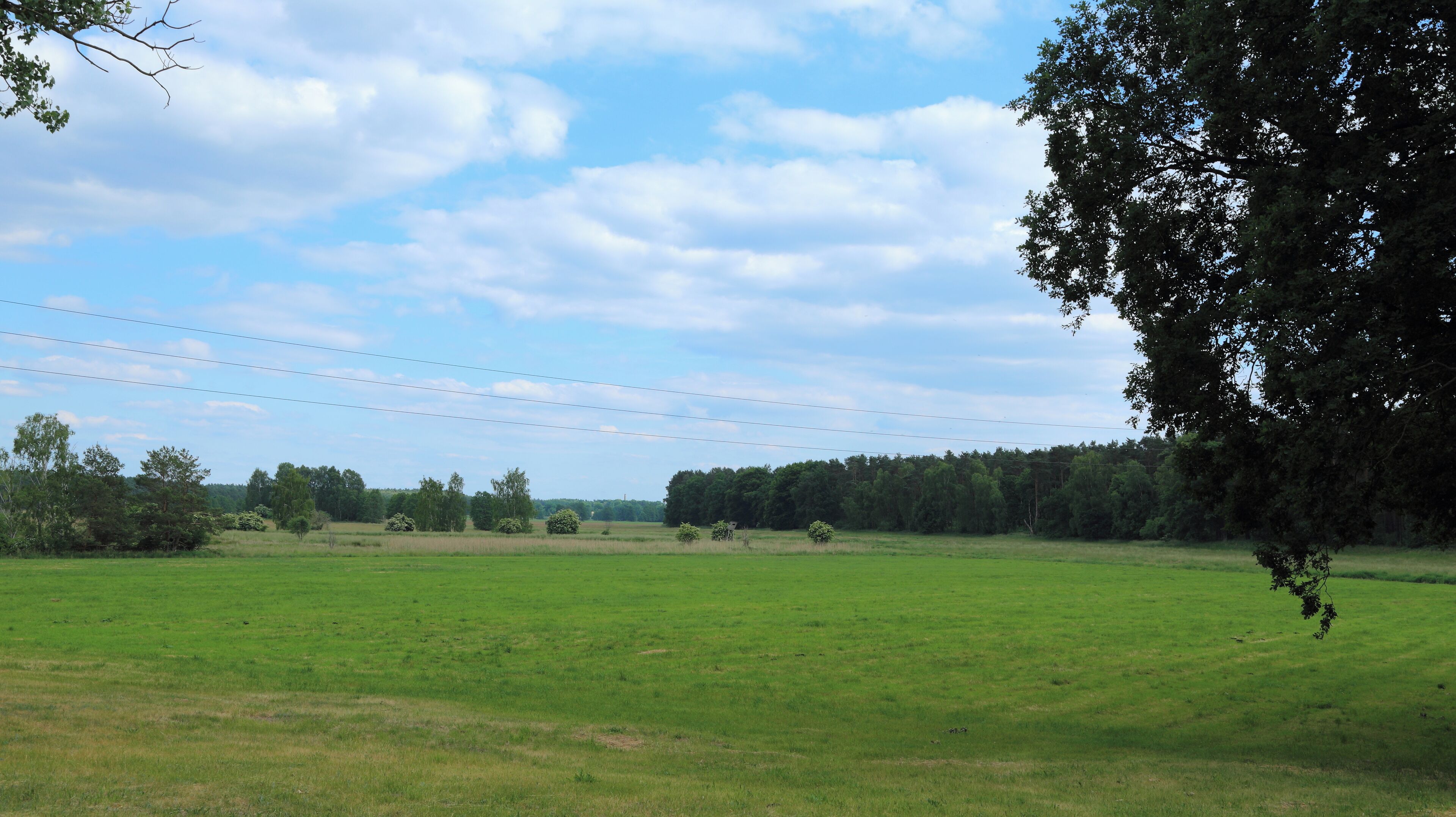 This is a picture of the protected area listed at WDPA under the ID