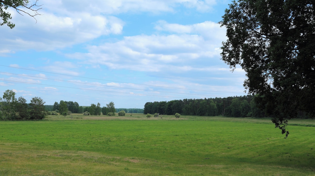 This is a picture of the protected area listed at WDPA under the ID