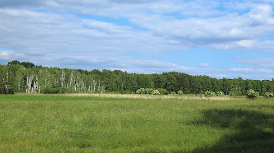 This is a picture of the protected area listed at WDPA under the ID