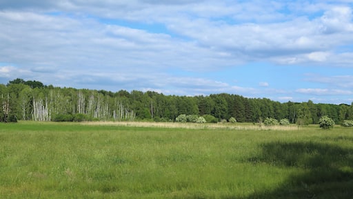 This is a picture of the protected area listed at WDPA under the ID