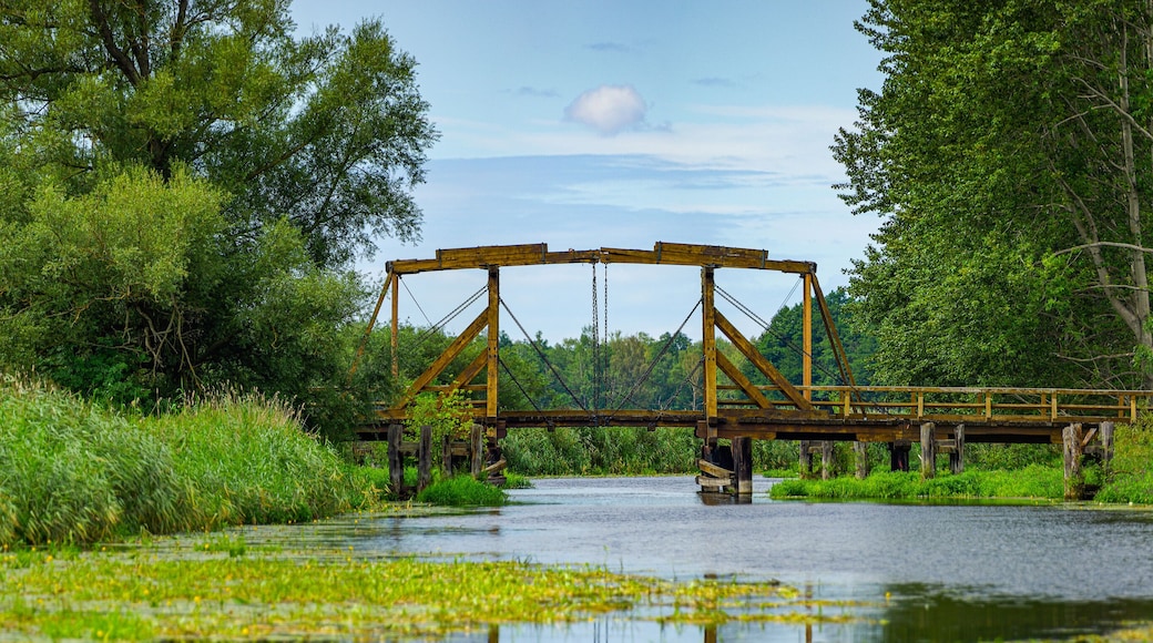 Mecklenburg river landscape near Nehringen, Mecklenburg-Western Pomerania, Germany