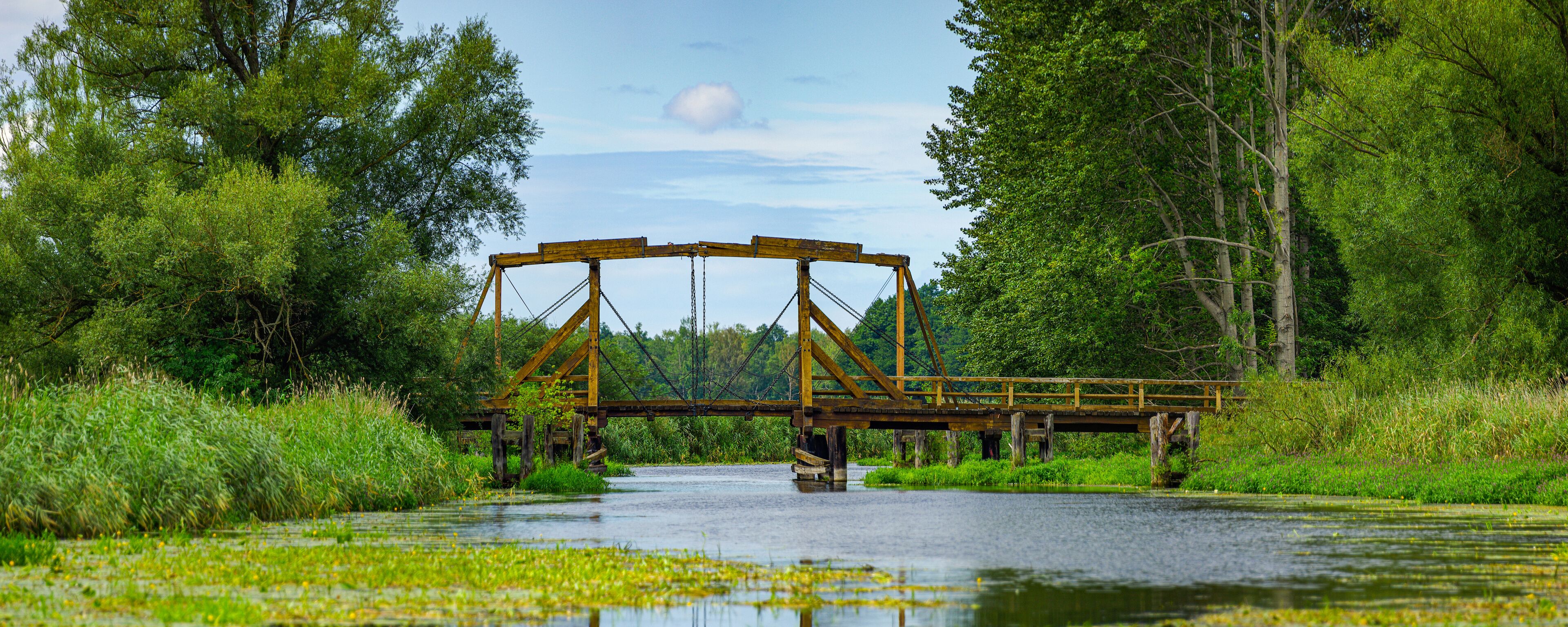 A wooden bridge over a calm river surrounded by lush greenery.