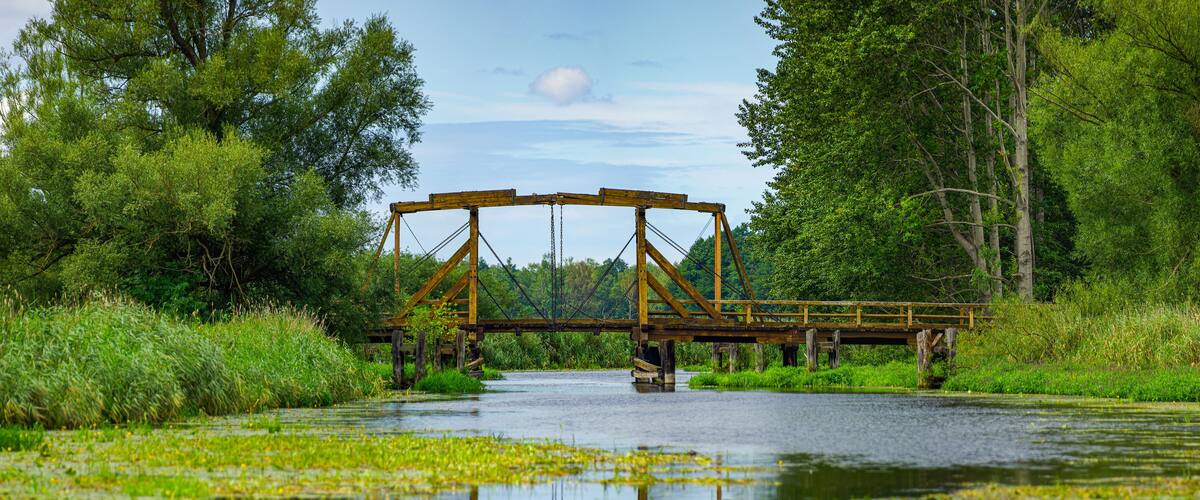 A wooden bridge over a calm river surrounded by lush greenery.