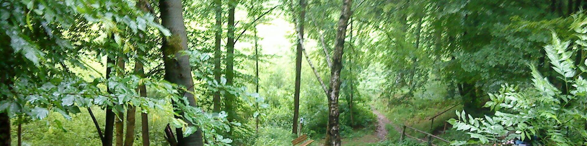 Der Platz der Großen Mariengrotte im Bächlesgrund bei Heigenbrücken