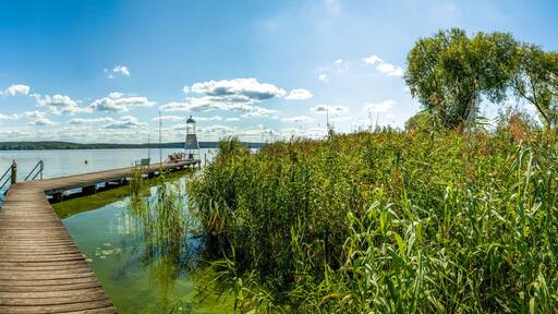 ชวีโลวเซ