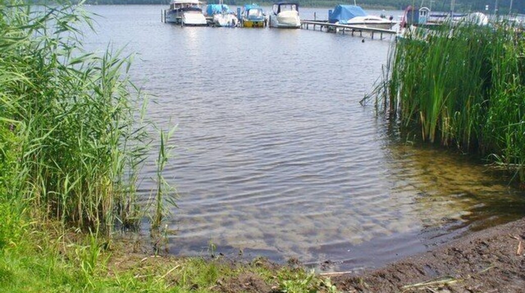 Mittelbusch - Am Schwielowsee (On Schwielow Lake)