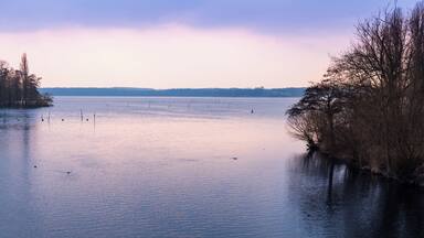 A calm lake with a distant shoreline, trees, and a clear sky.