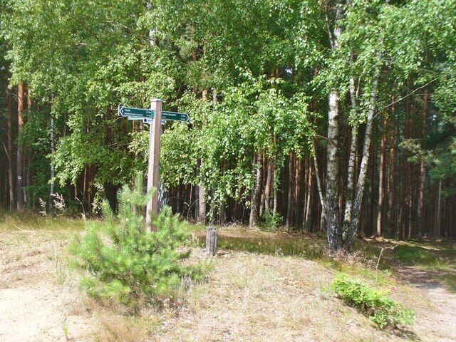 Wietkiekenberg - Wegweisern (Signposts)