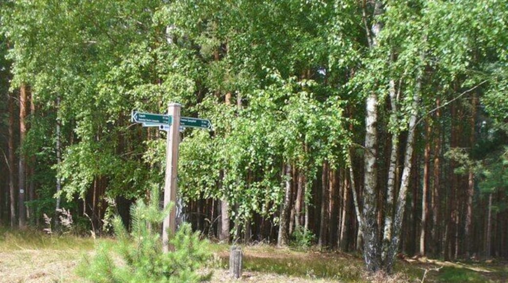 Wietkiekenberg - Wegweisern (Signposts)