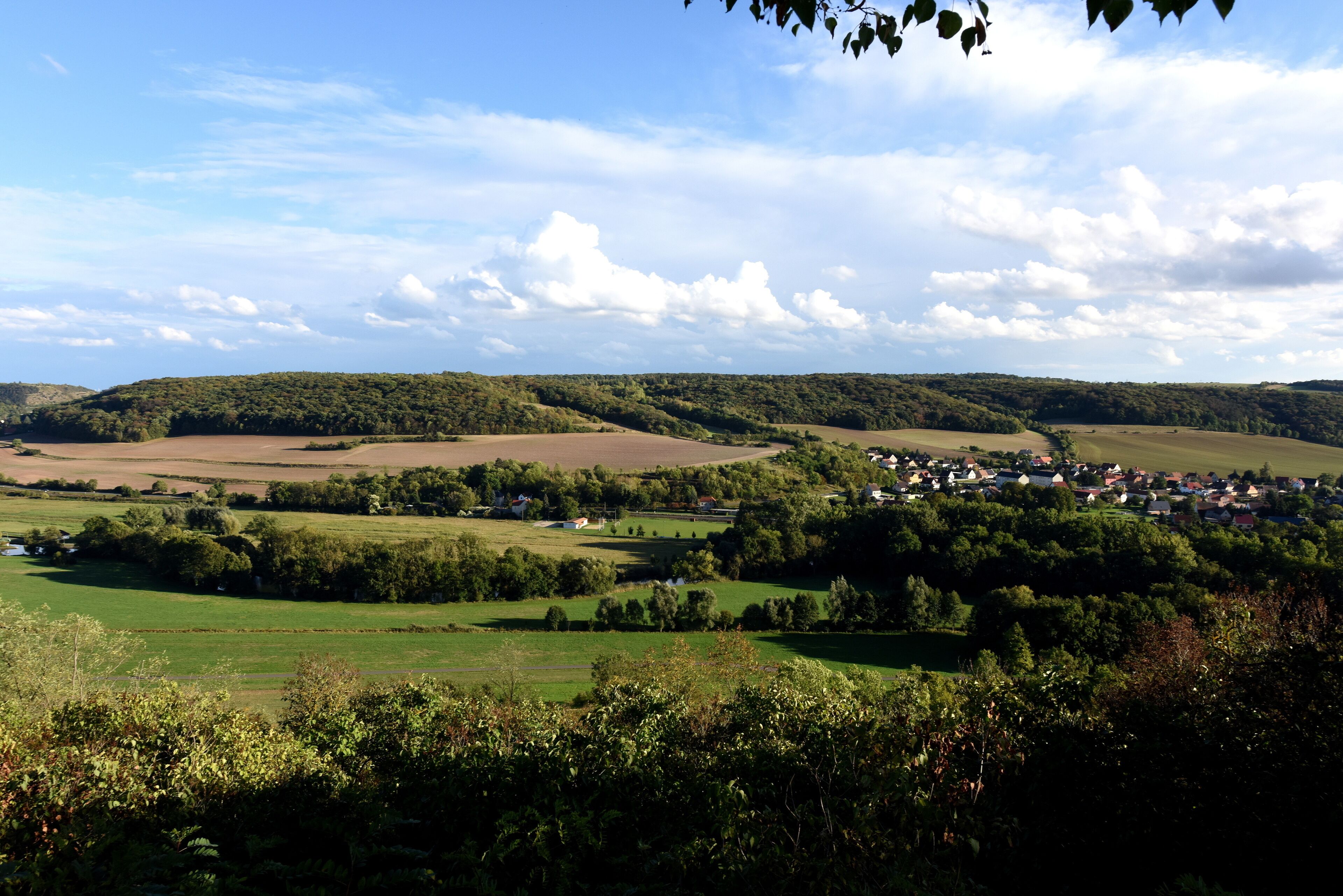 Landschaft an der Unstrut bei Freyburg
