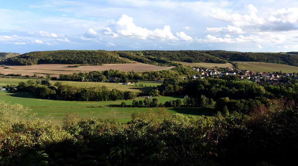 Landschaft an der Unstrut bei Freyburg