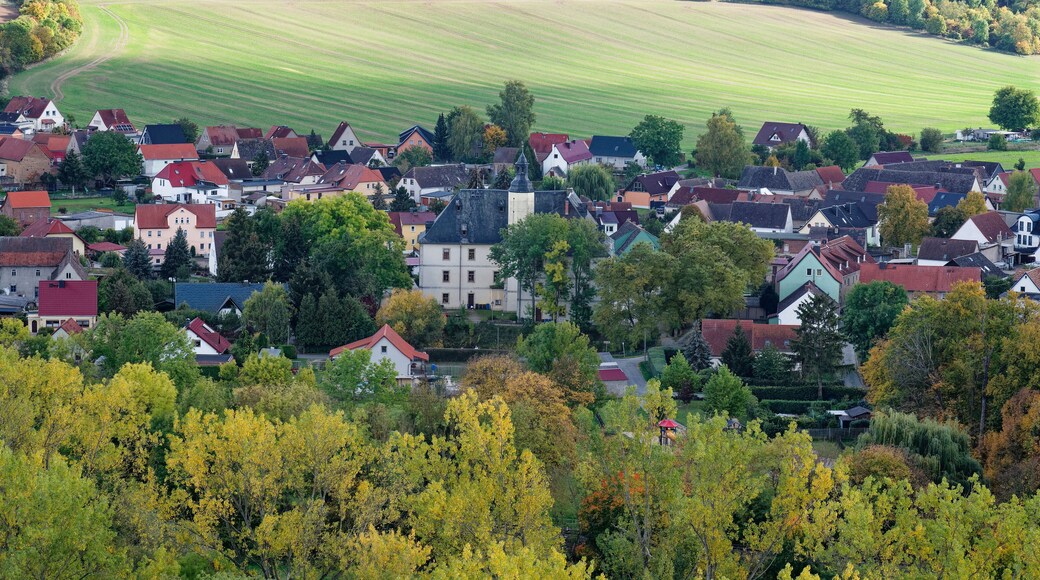 Blick vom Weinort Zscheiplitz auf Balgstädt einem Ortsteil der Weinbergstadt Freyburg/Unstrut und die Weinlage Schweigenberg, Burgenlandkreis, Sachsen-Anhalt, Deutschland