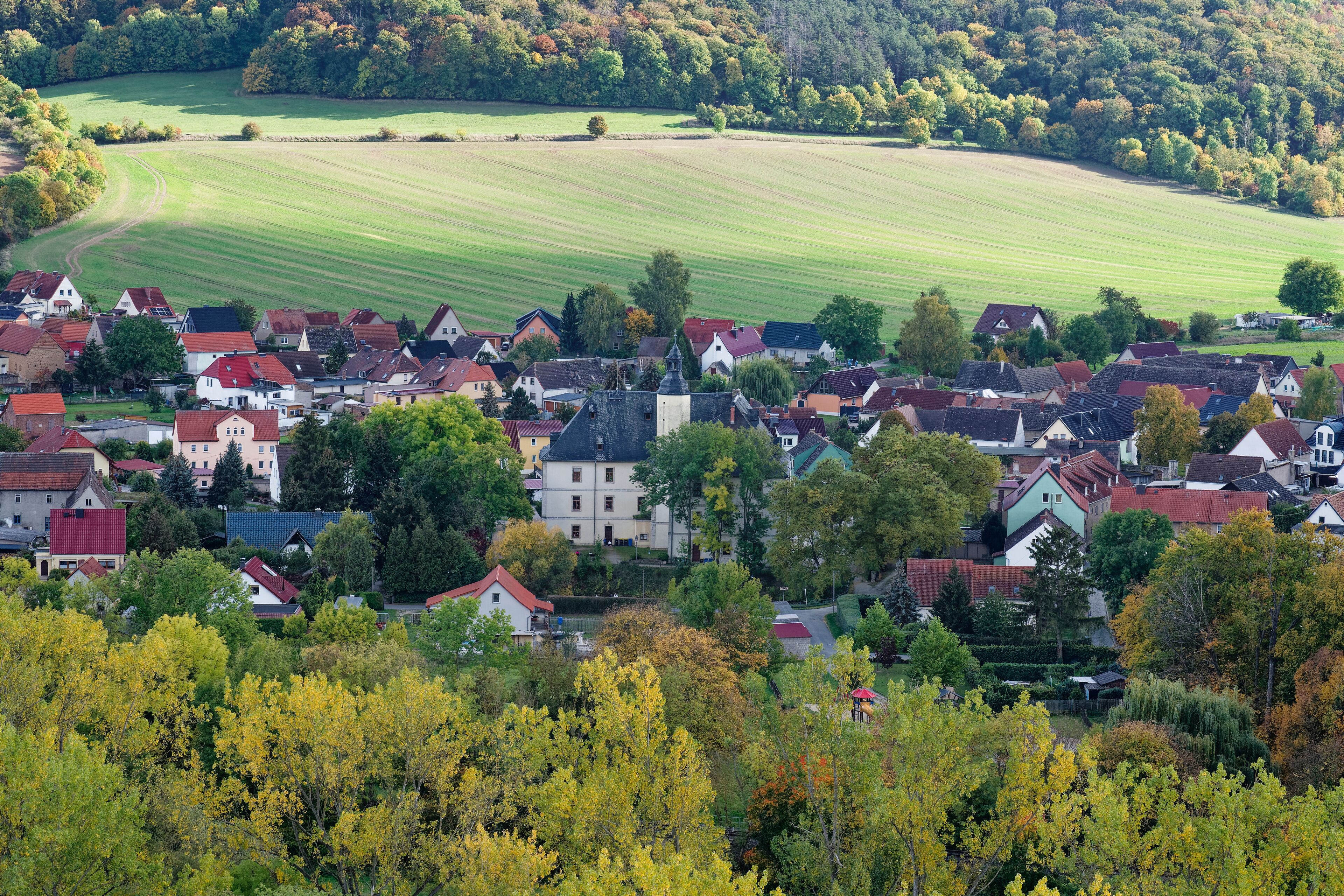 A village with houses, a church, and a green field.