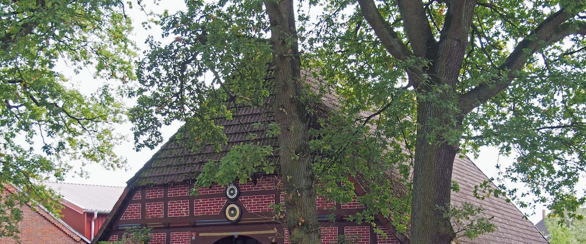 A brick building with a large tree in front, a wooden fence, and a pile of firewood.