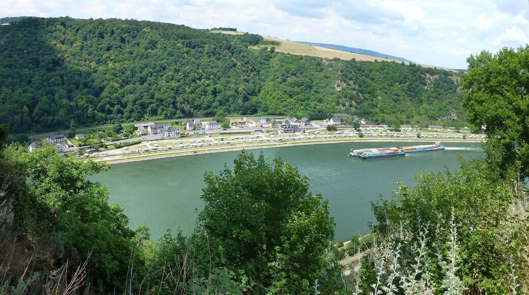 Blick von der Loreley – Sankt Goar-Fellen