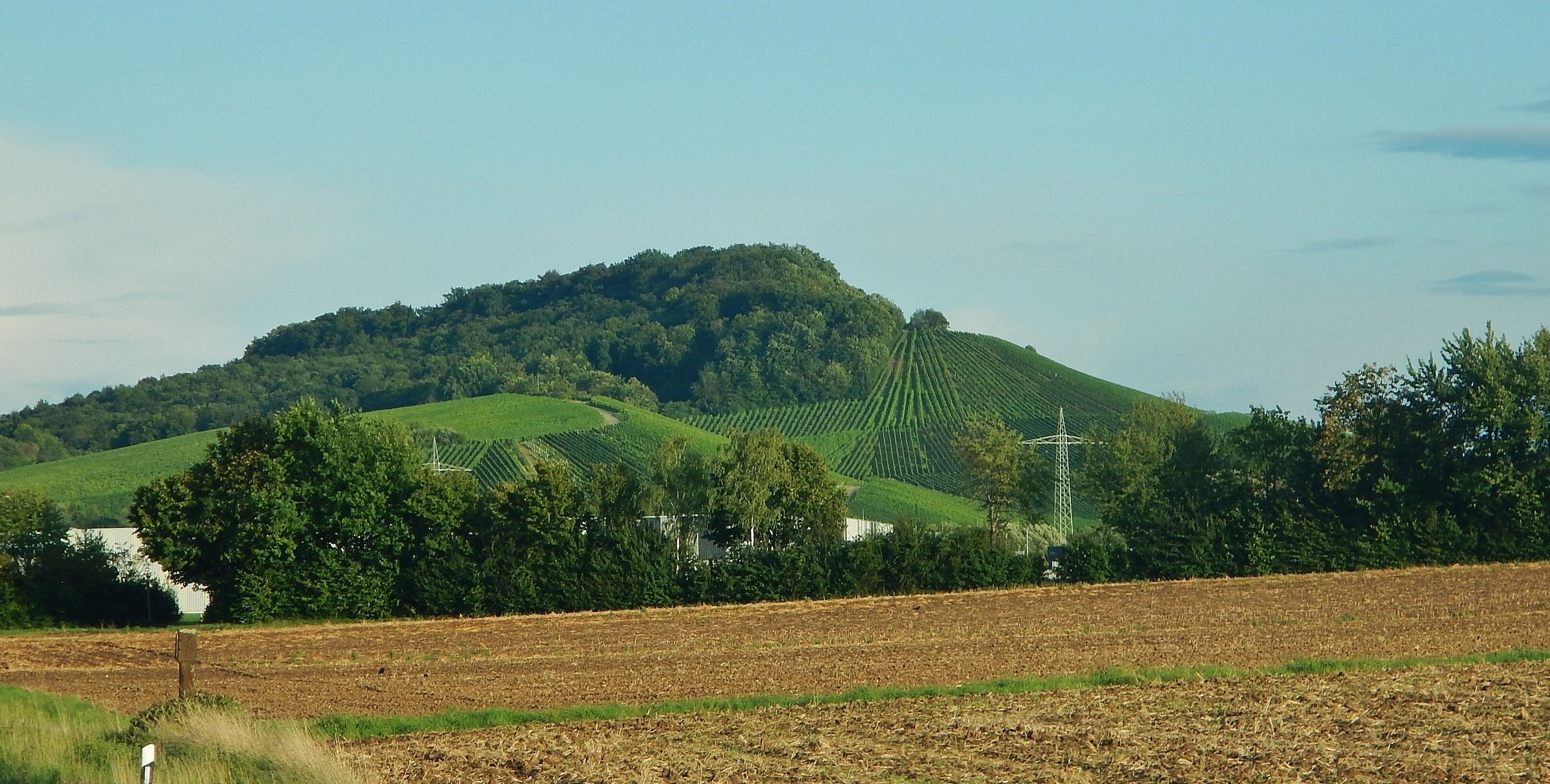A hilly landscape with a vineyard and a power line tower.
