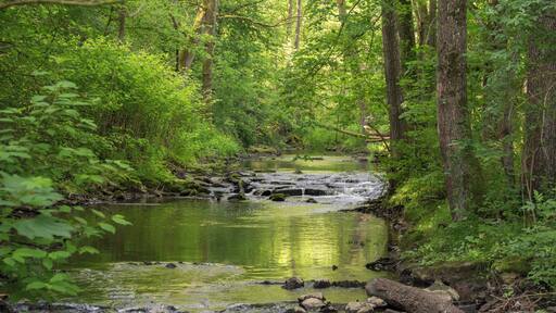 Hammerbach, Henfenfeld, LSG Ausweisung des LSG Südlicher Jura mit Moritzberg und Umgebung