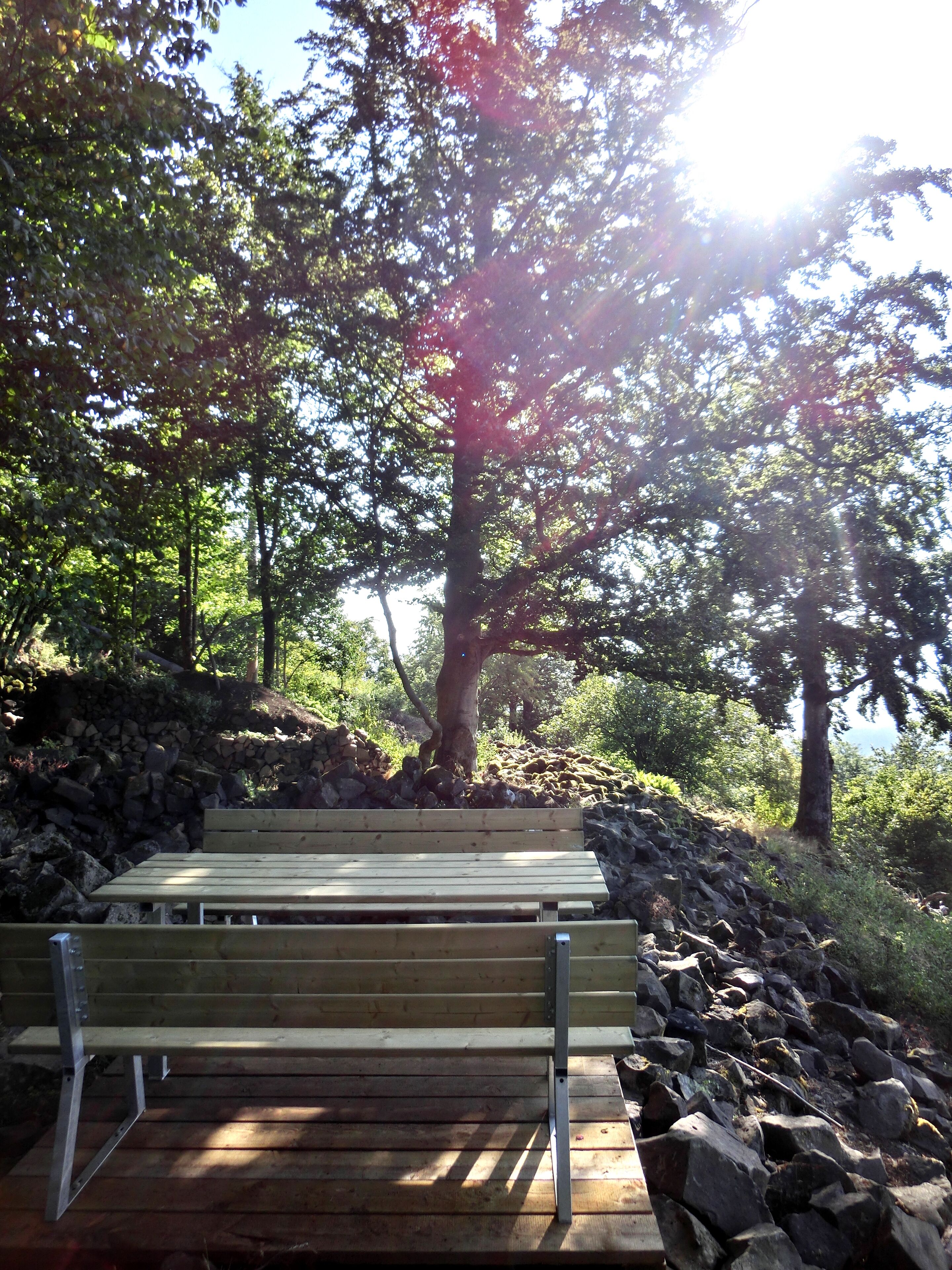 Rastplatz am Rauhen Kulm 1