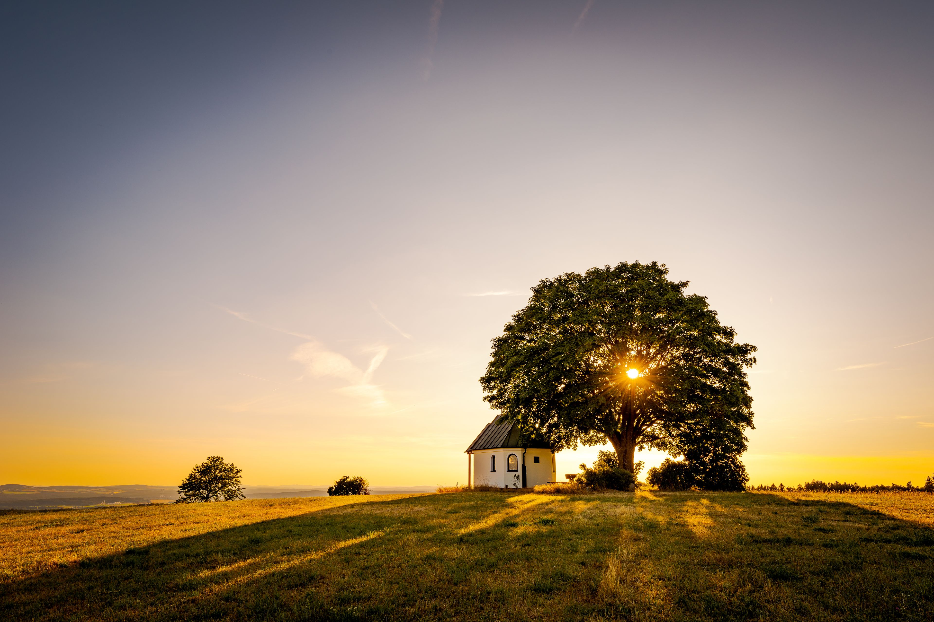 Une église entourée d’un champ verdoyant, avec un grand arbre au premier plan.