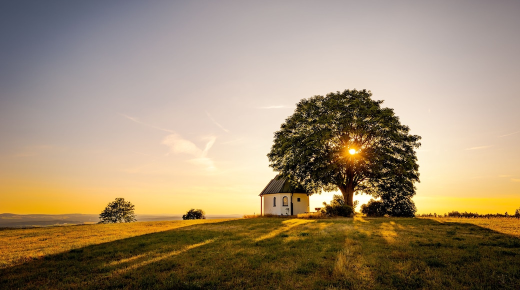 Une église entourée d’un champ verdoyant, avec un grand arbre au premier plan.