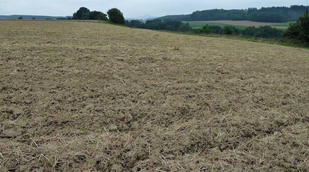 (LSG:BW-4.25.124)_Grundsheim, Straße von Rupertshofen nach Grundsheim, Bussen