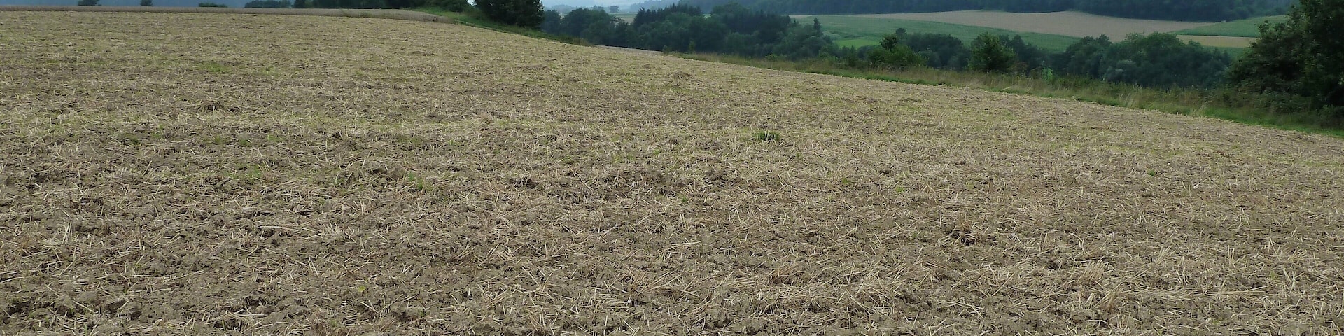 (LSG:BW-4.25.124)_Grundsheim, Straße von Rupertshofen nach Grundsheim, Bussen