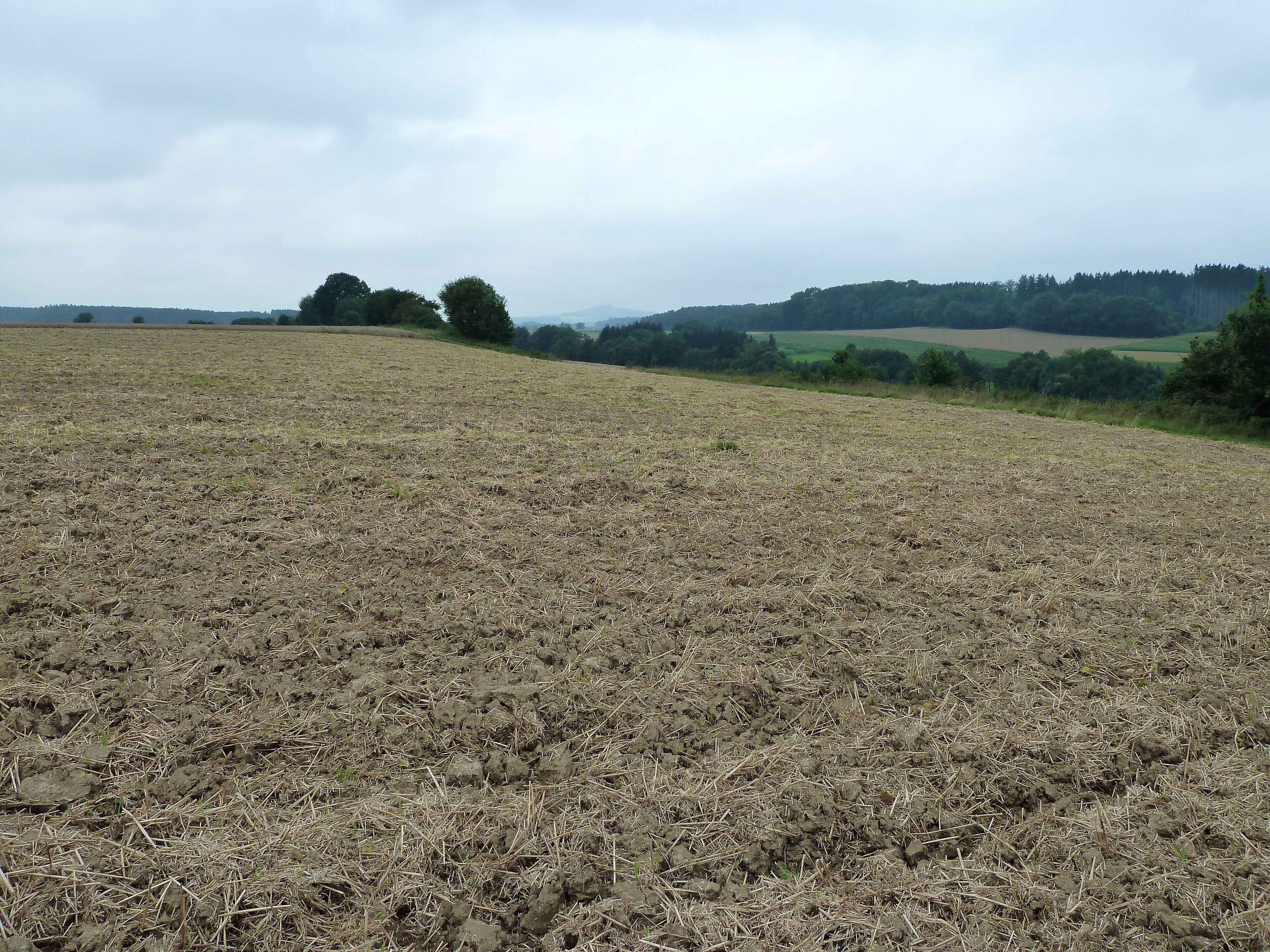 A vast, open field with dry grass and a few scattered trees.