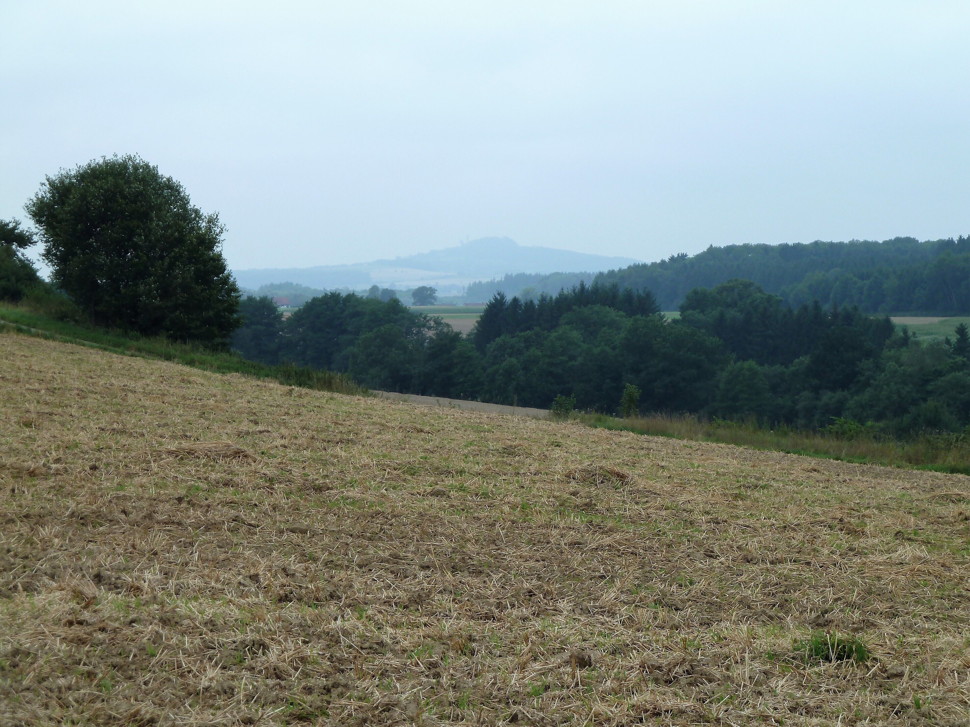 (LSG:BW-4.25.124)_Grundsheim, Straße von Rupertshofen nach Grundsheim, Bussen