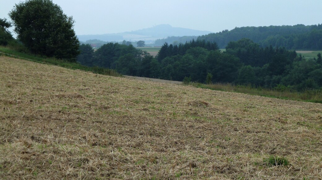 (LSG:BW-4.25.124)_Grundsheim, Straße von Rupertshofen nach Grundsheim, Bussen