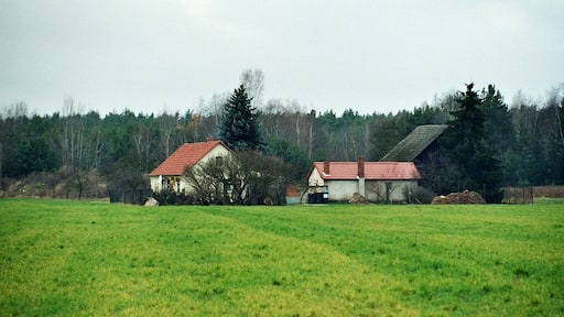 Drachhausen, house at the forest