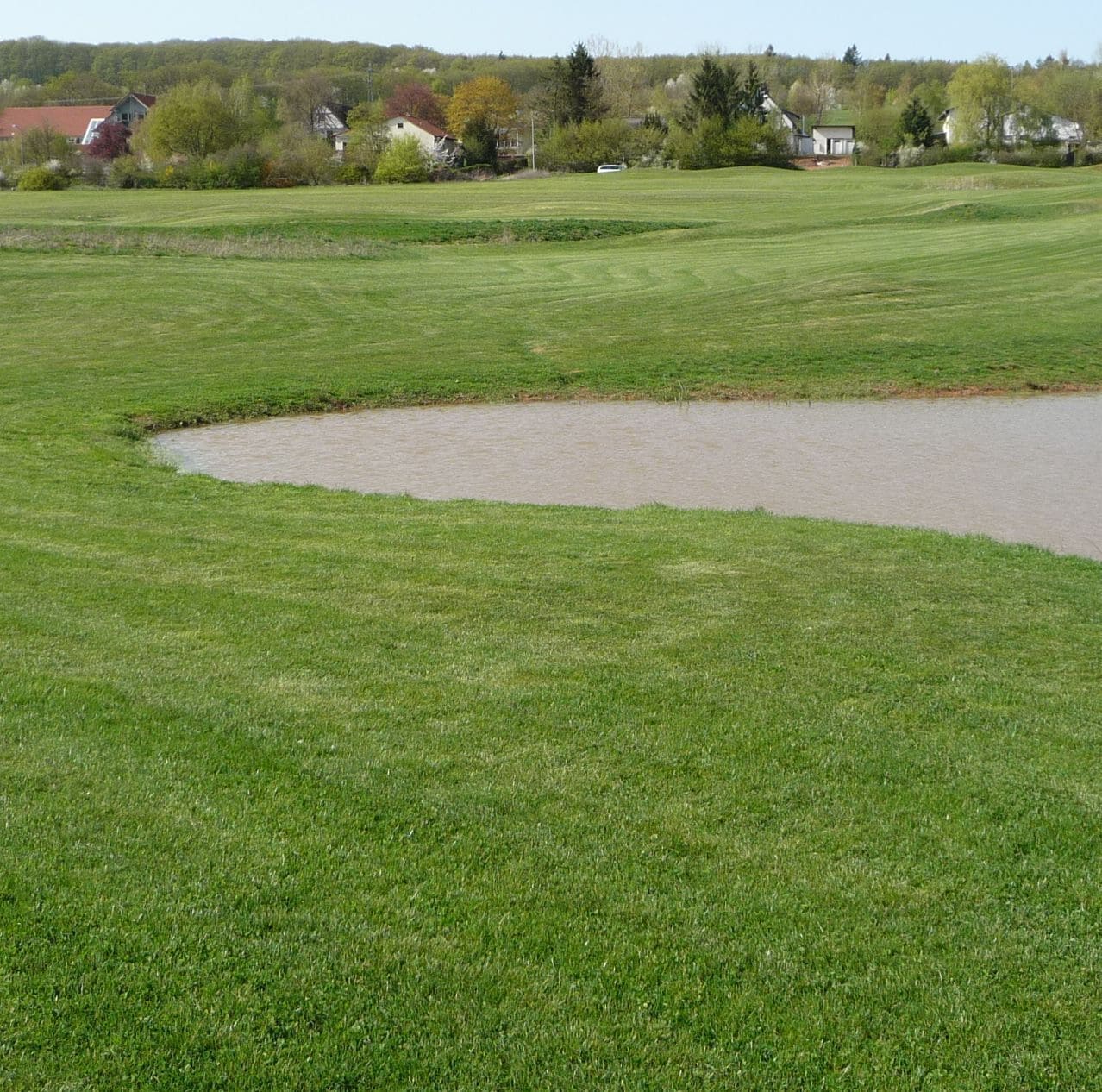 Golfpfütze