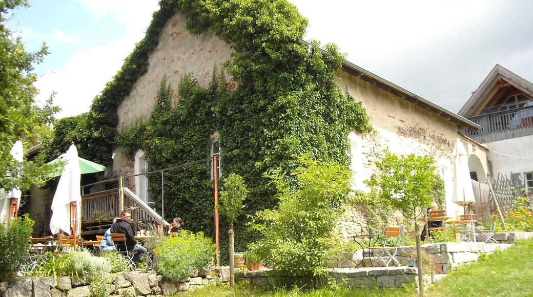 Café im Hesperidengarten