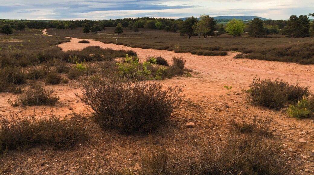 This is a picture of the protected area listed at WDPA under the ID