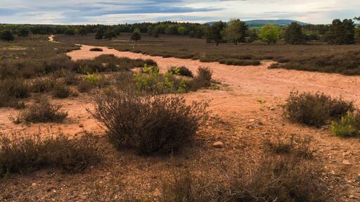 This is a picture of the protected area listed at WDPA under the ID