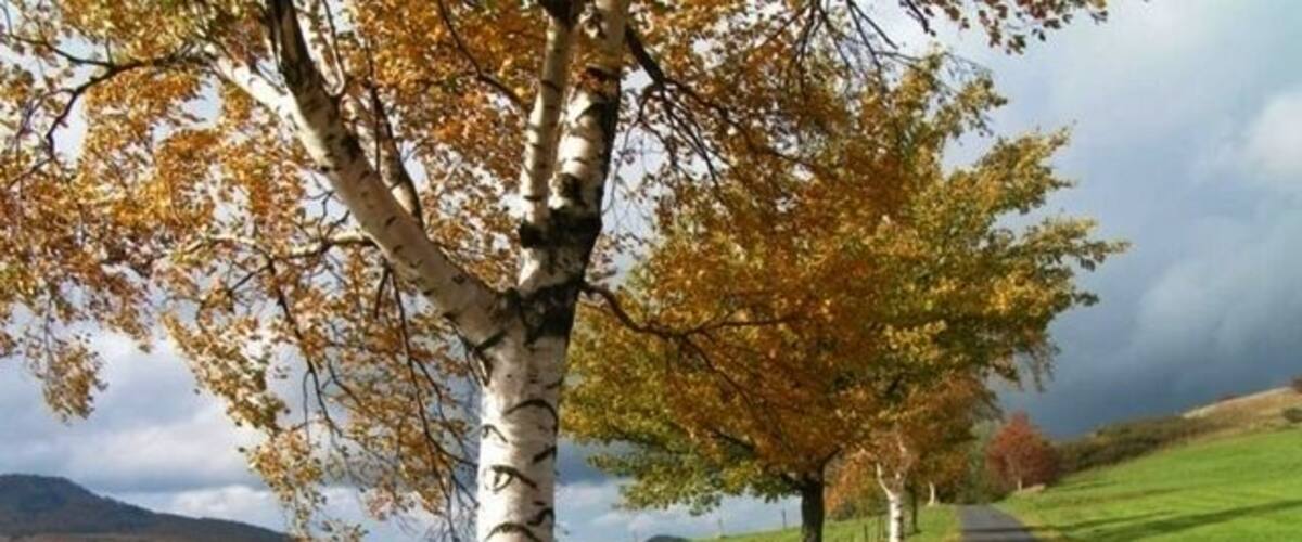 Fulda - Vogelsbergkreis