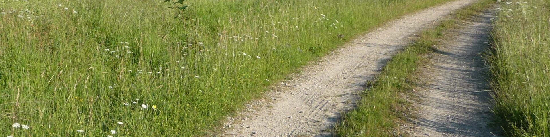Feldweg
