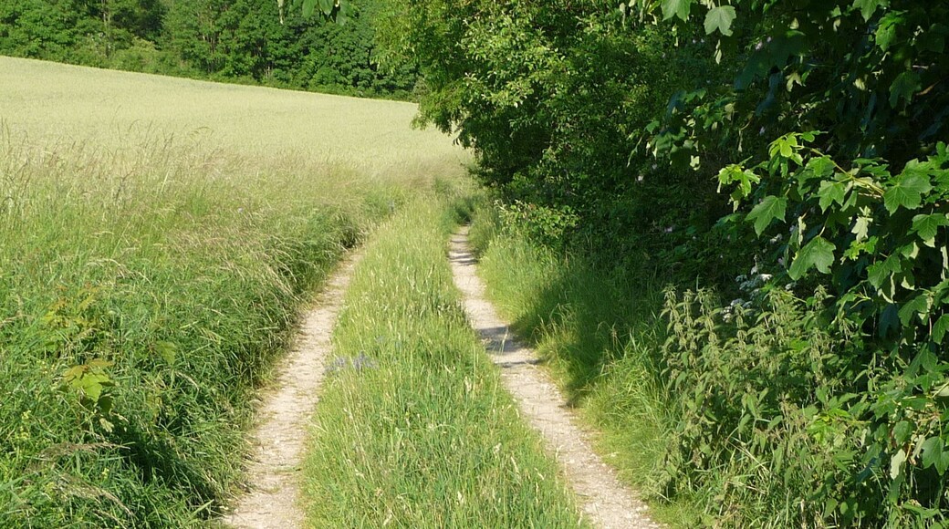 Feldweg