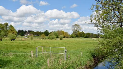 Mühlenbarbeker Au mit Uferstreifen im FFH-Gebiet "Mühlenbarbeker Au und angrenzendes Quellhangmoor" bei Mühlenbarbek