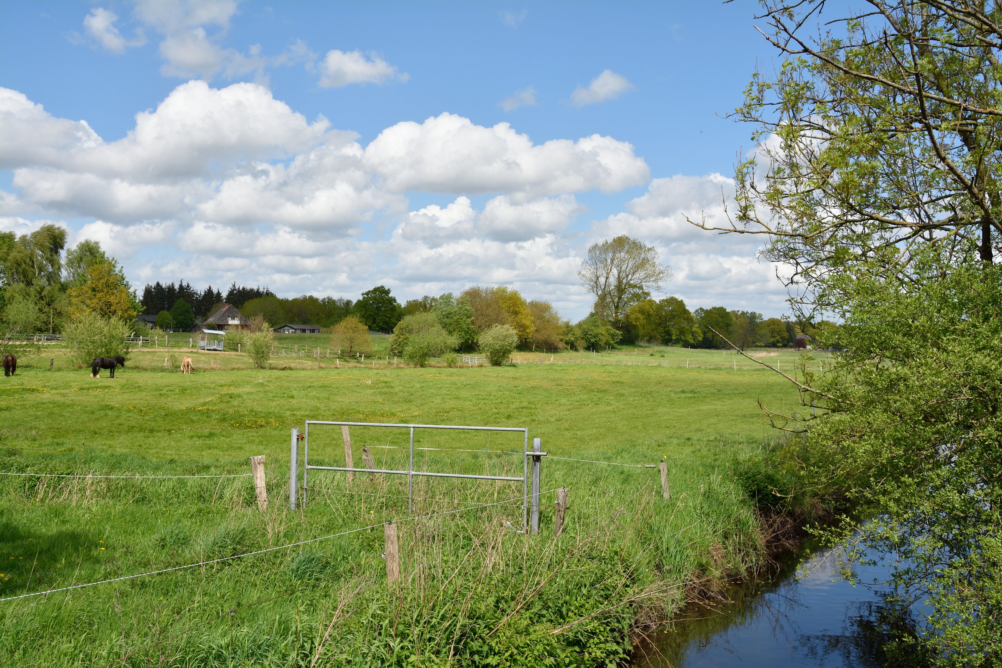 A rural landscape with a grassy field, a small stream, and a metal gate.