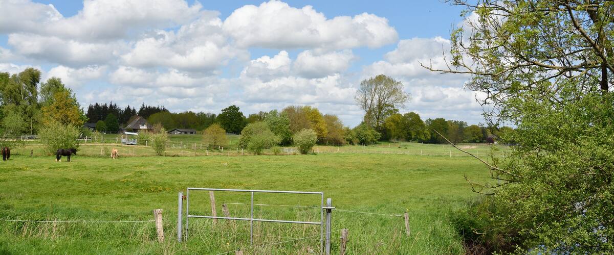 A rural landscape with a grassy field, a small stream, and a metal gate.
