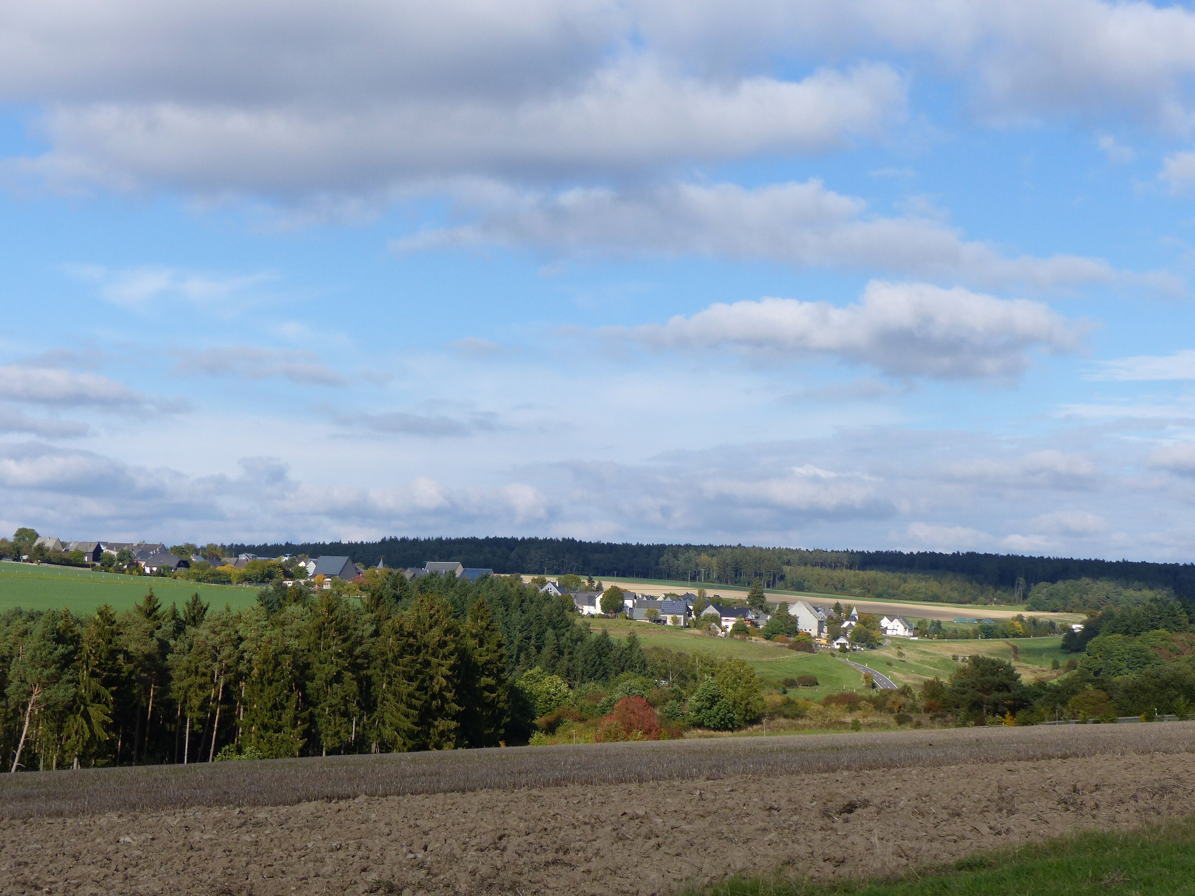 A rural landscape with fields, houses, and a forest in the background.