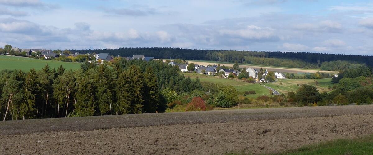 A rural landscape with fields, houses, and a forest in the background.