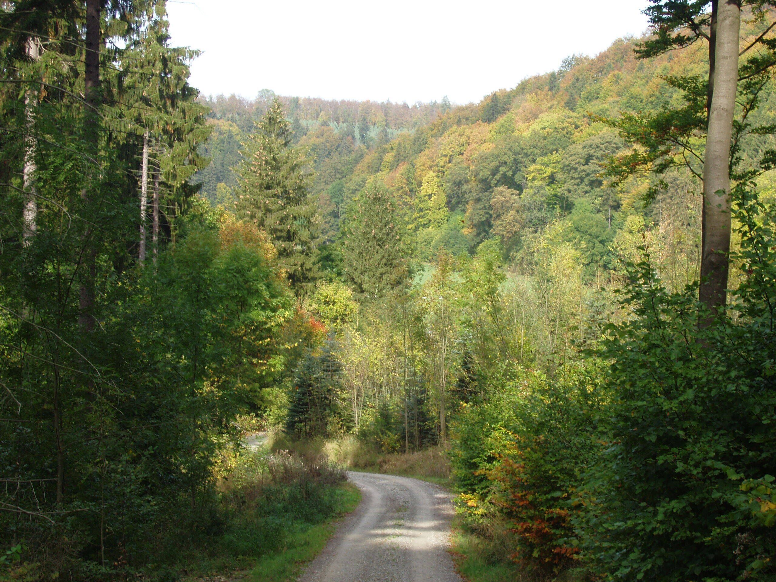 Aus dem Helbetal zur Helbeburg