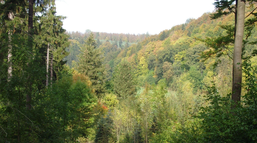 Aus dem Helbetal zur Helbeburg